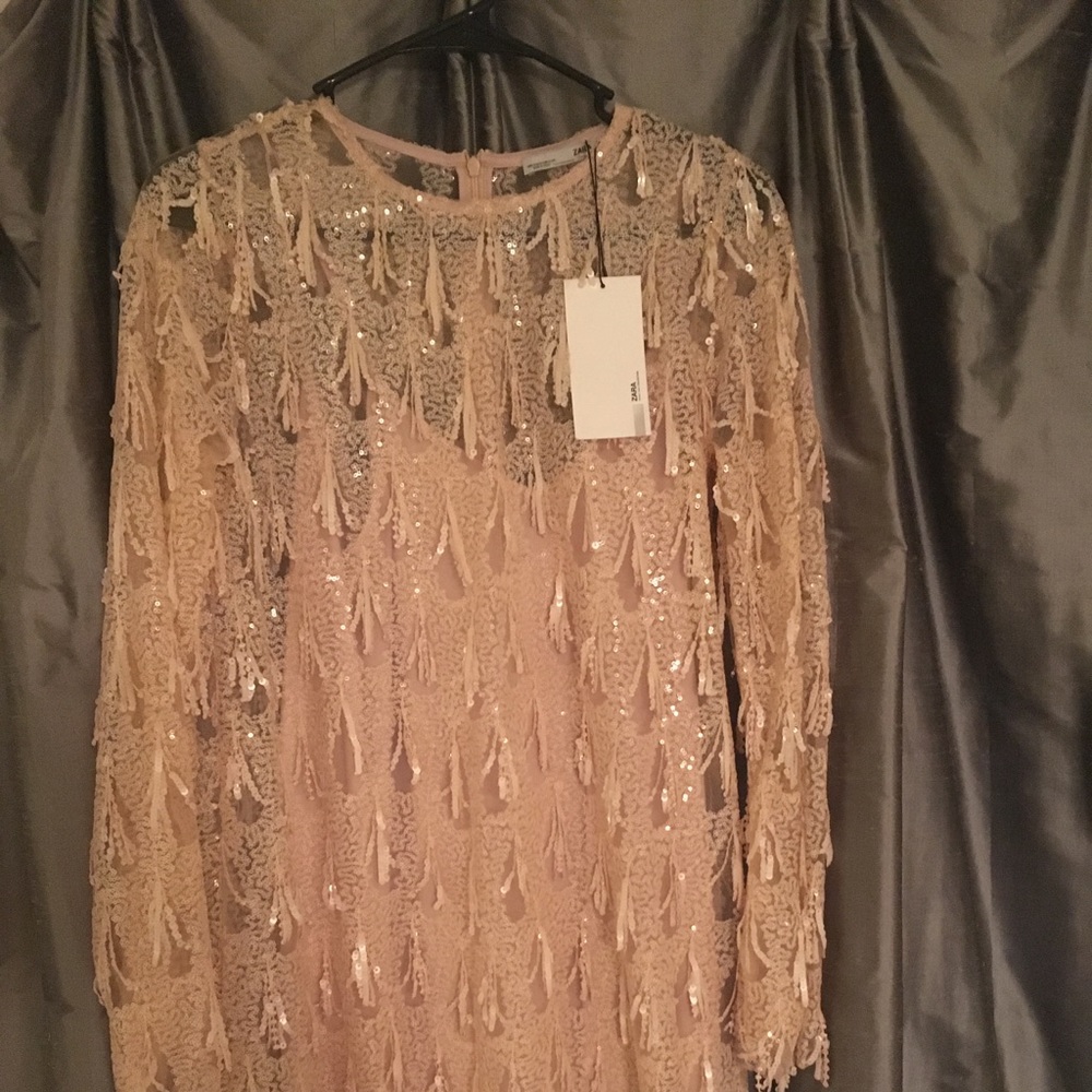 Blush pink, beaded long sleeve Zara mini